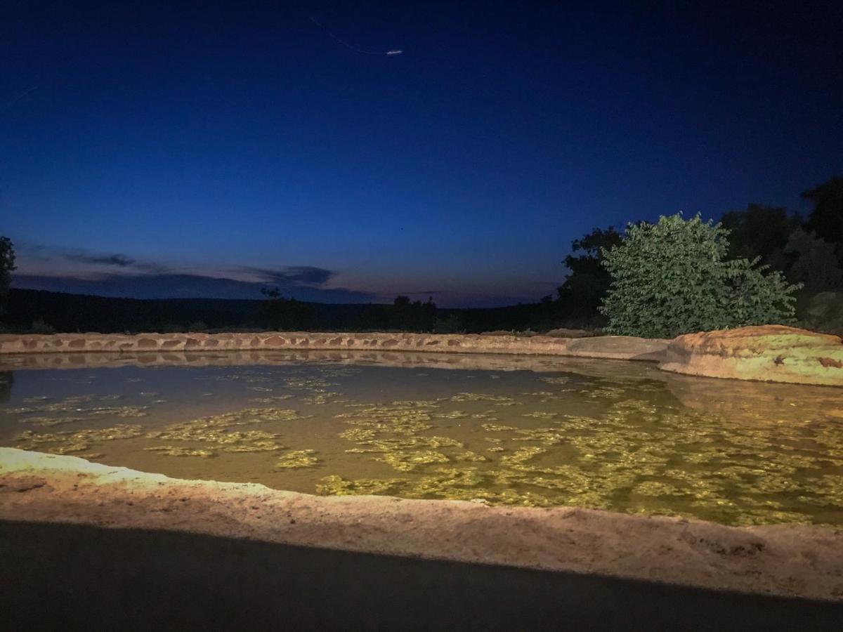 Laluka Safari Lodge - Riserva Naturale di Welgevonden Esterno foto