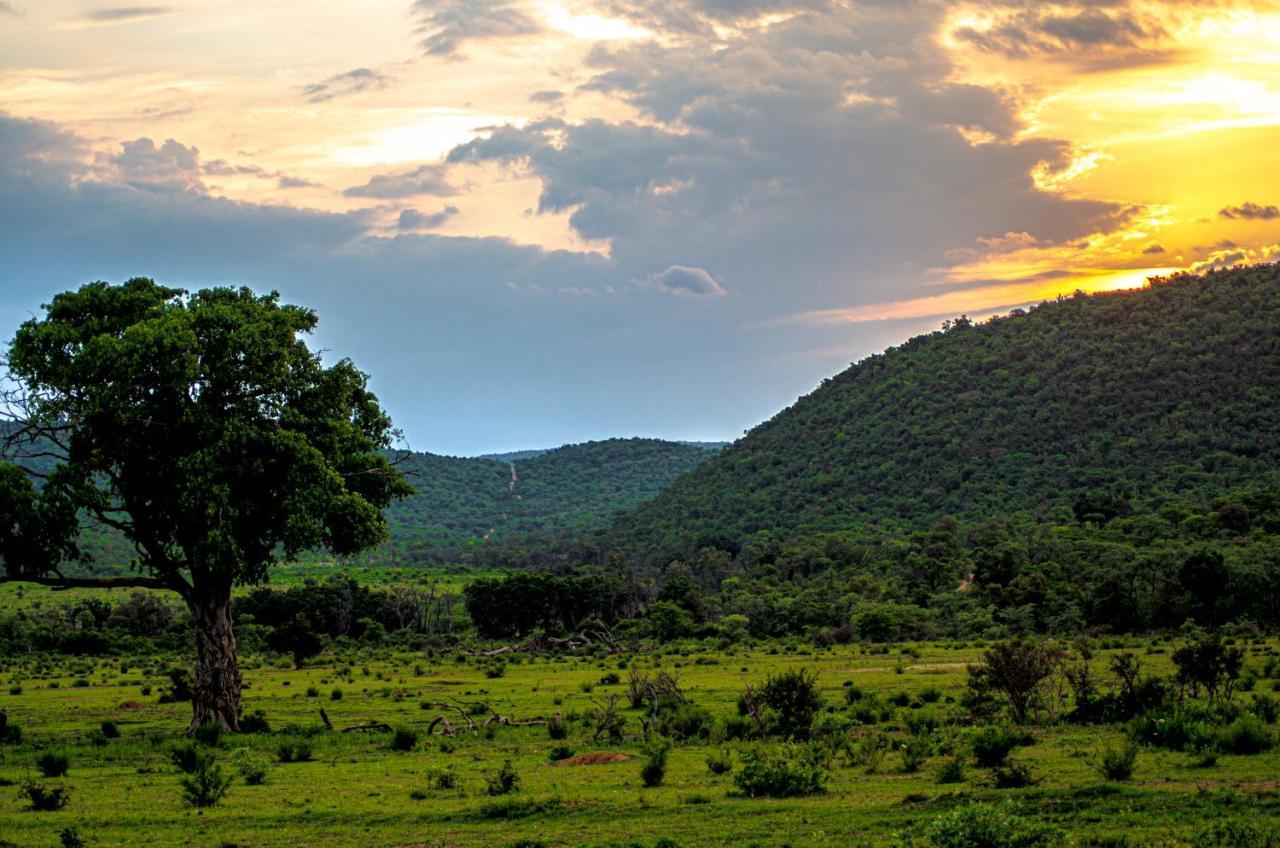 Laluka Safari Lodge - Riserva Naturale di Welgevonden Esterno foto