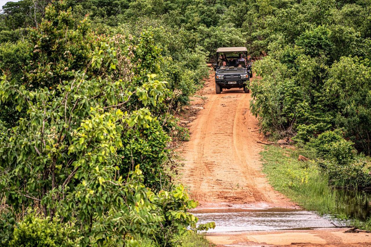 Laluka Safari Lodge - Riserva Naturale di Welgevonden Esterno foto